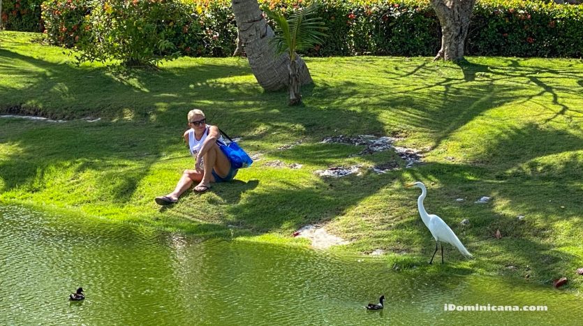 Город Баваро, жилой комплекс Cocotal Golf Club