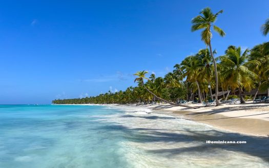 Доминикана в мае 2023: погода, пляжи, водоросли, скидки на недвижимость – ВИДЕО