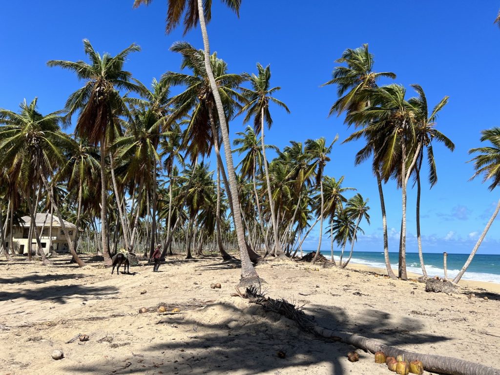 Земля в Республике Доминикана, частный пляж (купить)