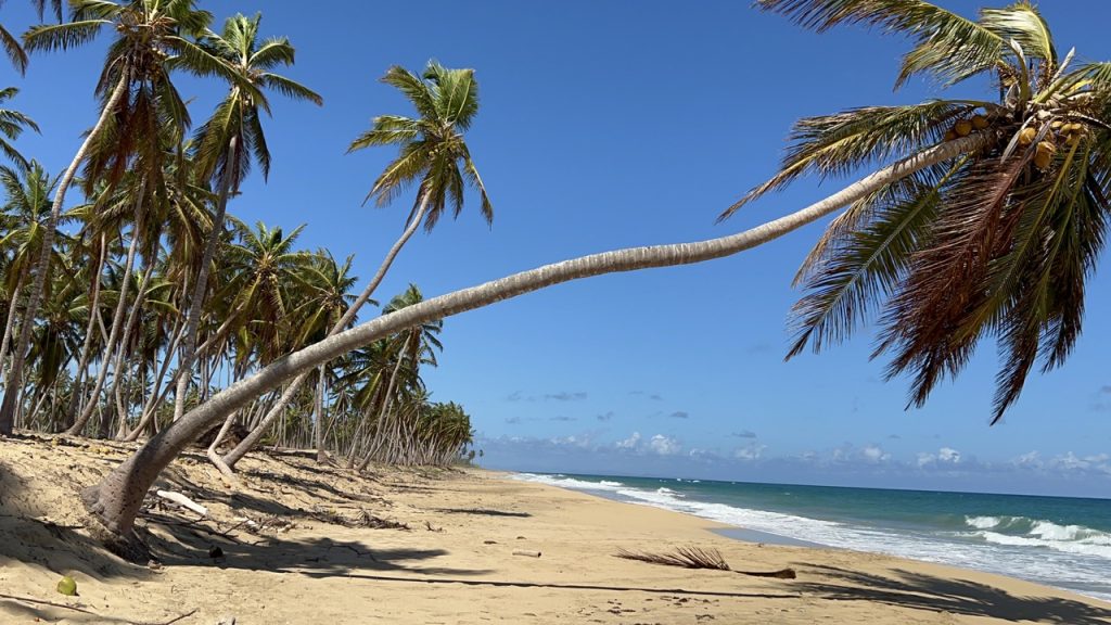 Земля в Республике Доминикана, частный пляж (купить)