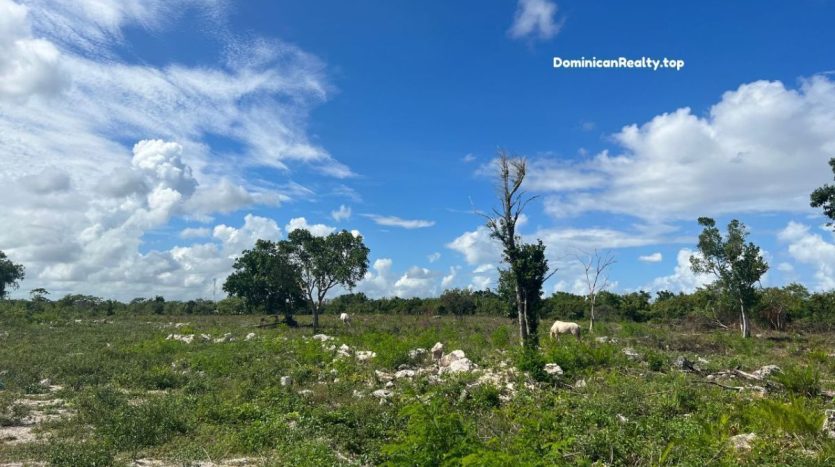 Продается земля в Punta Cana рядом с Ciudad La Palma