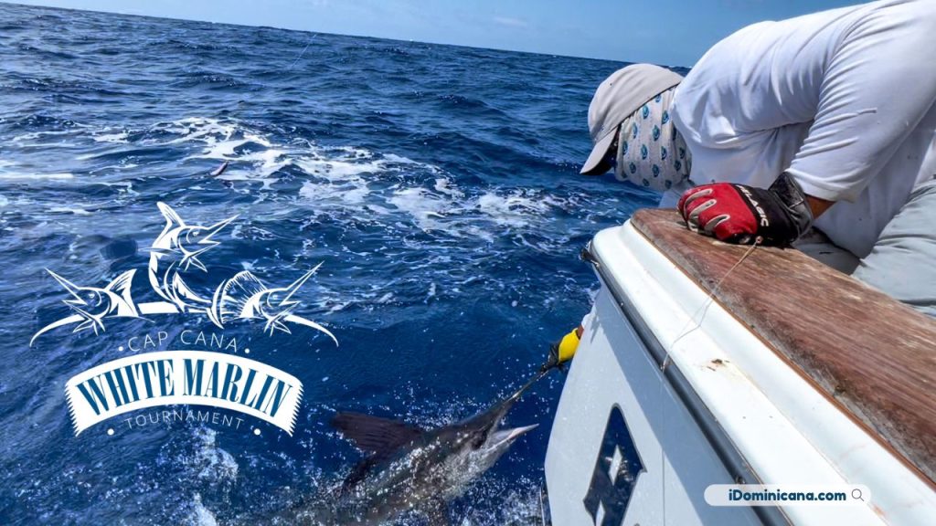 Рыболовный турнир: White marlin tournament Cap Cana (2024)