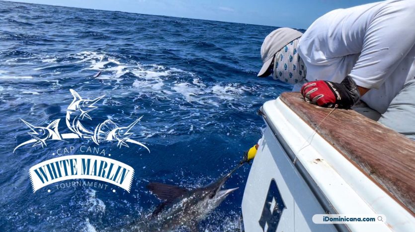 Рыболовный турнир: White marlin tournament Cap Cana (2024)