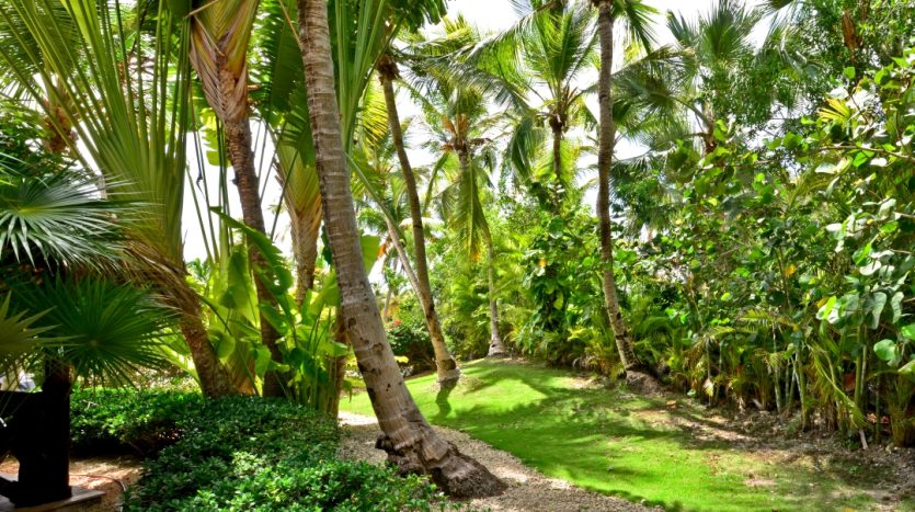 Вилла в Доминикане: 3 спальни, Cap Cana, рядом с пляжем