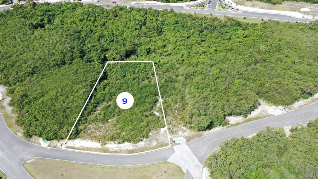 Land for sale: Yarari, Cap Cana (Dominican Republic)