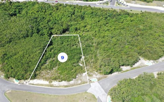 Land for sale: Yarari, Cap Cana (Dominican Republic)