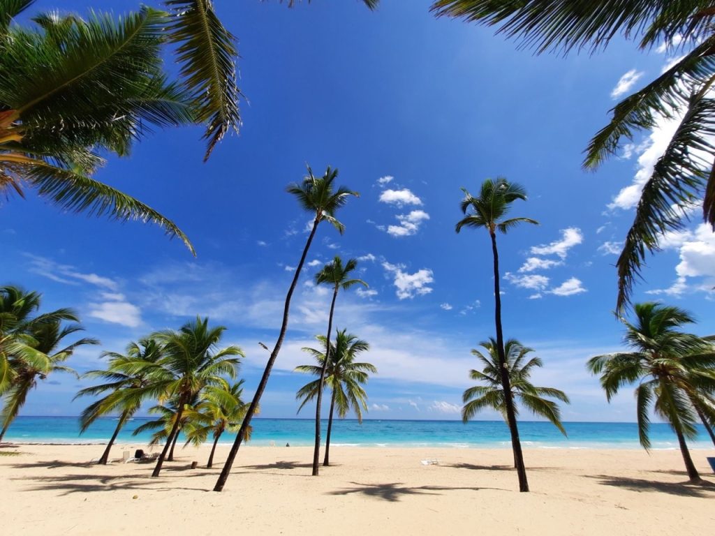 Pre construction apartment for sale in the Dominican Republic