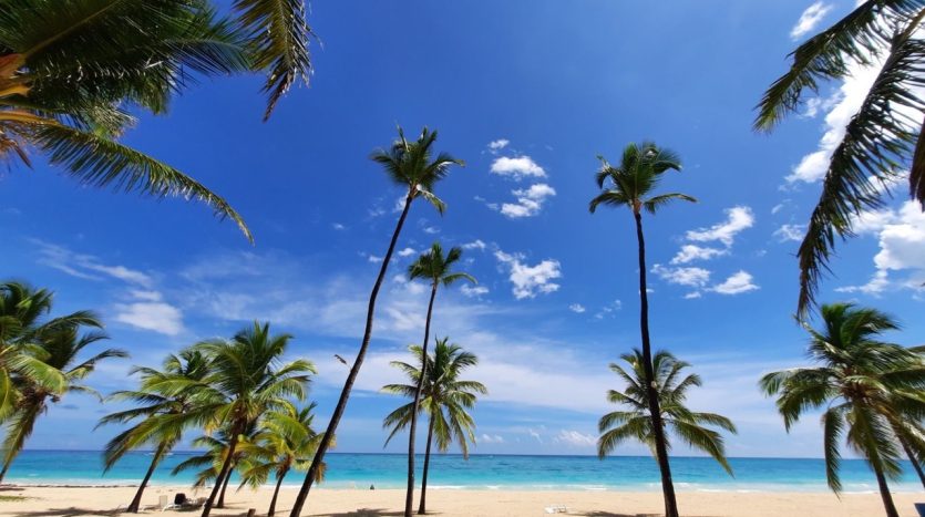 Pre construction apartment for sale in the Dominican Republic