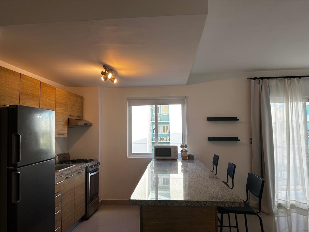 Апартаменты в Доминикане (курорт Пунта-Кана) - аренда (недорого)