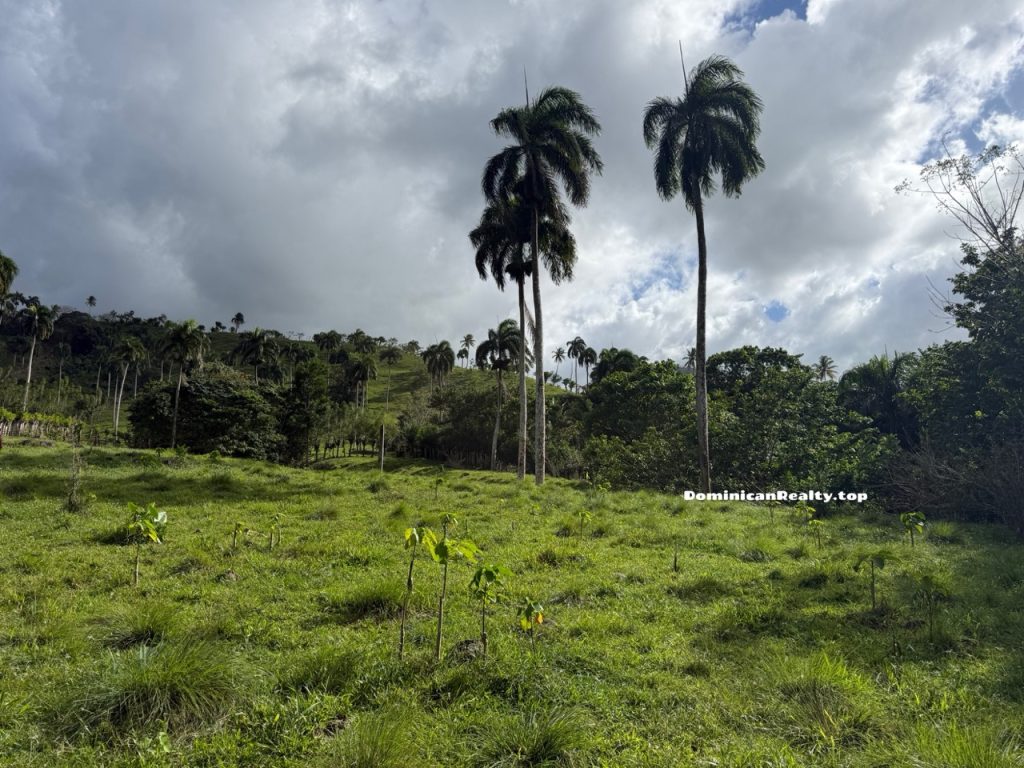 Земля в Доминикане - купить недорого (скидка!)