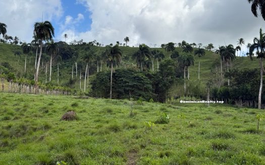Земля в Доминикане - купить недорого (скидка!)