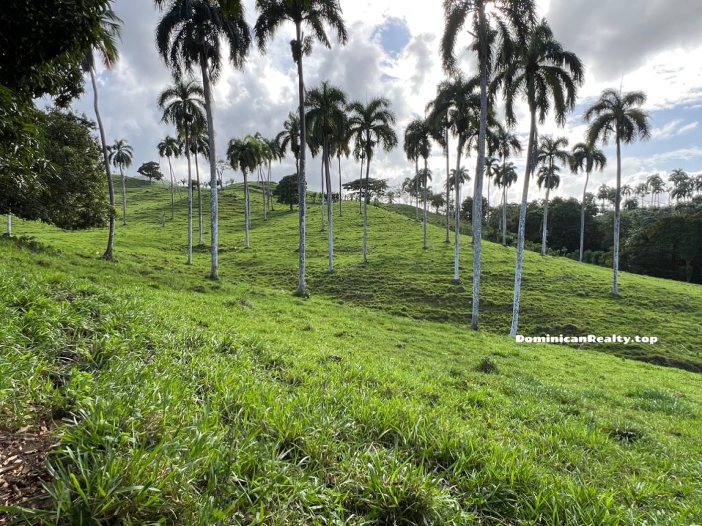 Продается земля в Доминикане (дорога, электричество) - недорого
