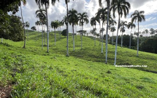 Продается земля в Доминикане (дорога, электричество) - недорого