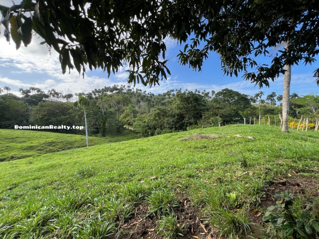Продается земля в Доминикане (дорога, электричество) - купить недорого