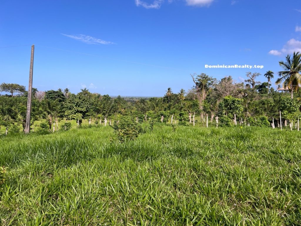 Земля в Доминикане на горе с видом на море - купить недорого