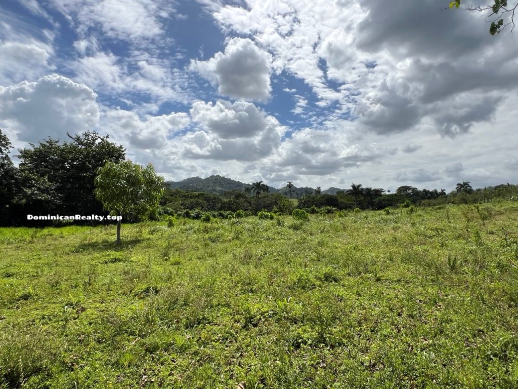 Земля в Доминикане: дорога, электричество, туристический район - купить