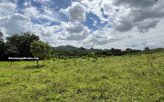 Земля в Доминикане: дорога, электричество, туристический район - купить